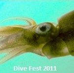 Dive Fest 2011